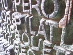 non saprei