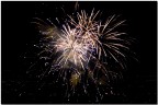 come fiori nella notte
