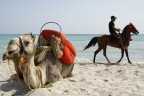 Vita da spiaggia