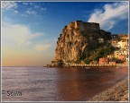 Scilla