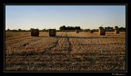 Ultimo sole...sulle rotoballe