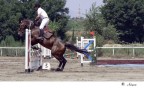 Il salto