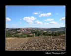 nikon coolpix 5700 1/500 f8 iso 100