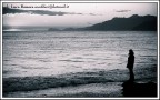 contemplando