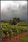 Prima della tempesta