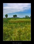 Non solo grano