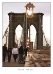 IL PONTE - new york
