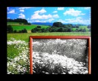 Raduno Ph4u - ? -