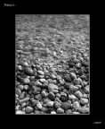 Onde
