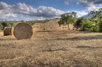 Variazioni in HDR