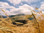 Caramanico Terme (PE)