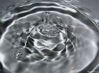 natural elements