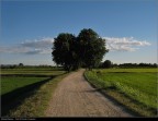 Strada bianca
