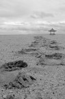 Verso Casa