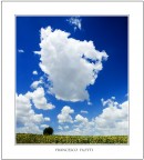 L'albero solitario