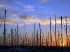 voglia d'oceano...