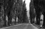 la strada dei sogni