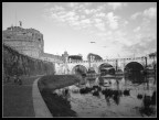 La mia Roma