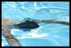 Un tuffo in piscina