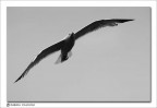 Taken with D100