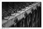 Taken with D100