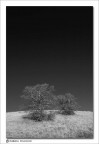 Taken with D100