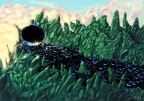 Una piccola colaborazione, tra me e il fotografo miniaturista Far Star , le goccie ce le ha messe lui, io il resto