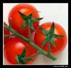 Pomodori