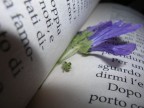 ricordo custodito nell' "Arte della Felicit"