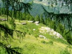 alpe pirolina
