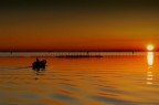 laguna dorata