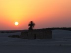 Durante una escursione a dorso di cammello per fotografare il tramonto nei pressi di una oasi nel deserto del Sahara.