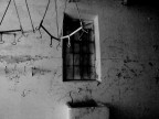 Slaughterhouse N1