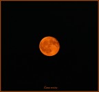 Luna rossa