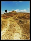 :::Estate:::
