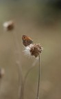 Arriva il temporale