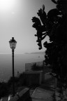 Sapori del sud