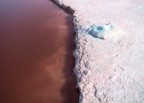 un lago salato. paesaggio lunare dai colori irreali
Tunisia 2003