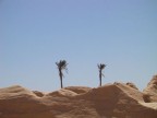 tunisia 2003