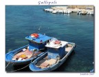 Gallipoli