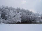 Svuotando i cassetti ho ritrovato questo scatto realizzato senza troppe pretese, una nevicata inaspettata per le mie parti.