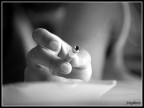 ...il gesto pi atroce e bello...