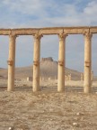 Siria - Dicembre 2006