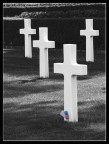 Cimitero militare USA a Nettuno... Vi sono sepolti i soldati americani morti in Italia durante la liberazione

PS La foto presentava un piccolo spigolo in basso a dx e un tronco di albero nella siepe in alto a sx...  
Li ho eliminati con PS su suggerimento di alcuni utenti ed ho ripostato nuovamente la foto