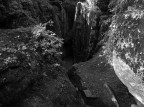 La verna