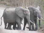 Tanzania
