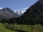 Svizzera