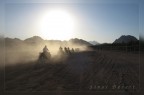 Sinai Desert