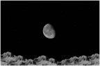 Lunar landscape
