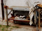 Siesta alla Giudecca